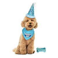 Ensemble d'anniversaire pour animaux de compagnie Baboney : Foulard triangulaire, chapeau d'anniversaire, jouet en forme d'os en polyester style dessin animé pour chats et chiens, toutes saisons