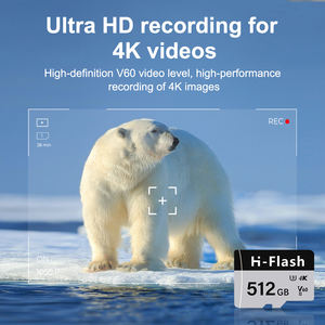 Carte mémoire SD TF haute vitesse U3 4K V60 8 <span class=keywords><strong>Go</strong></span> 16 <span class=keywords><strong>Go</strong></span> 32 <span class=keywords><strong>Go</strong></span> 64 <span class=keywords><strong>Go</strong></span> 128 <span class=keywords><strong>Go</strong></span> 256 <span class=keywords><strong>Go</strong></span> 512 <span class=keywords><strong>Go</strong></span> Classe 10 - Product Image 4