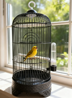 Cage à oiseaux ronde noire de qualité supérieure avec support et accessoires, cage à perroquet durable avec mangeoire et perchoir pour perruches, canaris