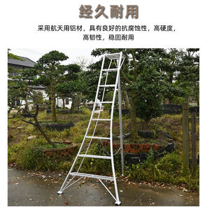 Échelles télescopiques modernes en alliage d'aluminium, échelles pliantes triangulaires droites portables pour <span class=keywords><strong>l</strong></span>'élagage <span class=keywords><strong>des</strong></span> vergers, <span class=keywords><strong>l</strong></span>'échelle à marches <span class=keywords><strong>de</strong></span> jardinage, <span class=keywords><strong>l</strong></span>'<span class=keywords><strong>horticulture</strong></span> - Product Image 5