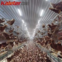 Système d'élevage avicole automatique pour poules pondeuses en plein air, cages de bien-être pour volailles, équipement agricole pour l'Europe et l'Australie
