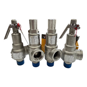 Yongyi DN25วาล์วนิรภัยปรับความดันได้พร้อมที่จับสปริงเปิดเต็ม - Product Image 2