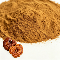 Extrait de Ganoderma Lucidum 30% Polysaccharides pour Complément Alimentaire