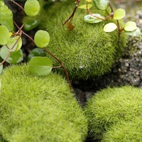 Simulation de pierres de mousse Micro paysage pelouse prairie décoration Mini artificielle flocage pierre Miniature fée ornements de jardin