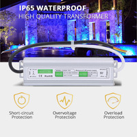 Lampe de piscine LED néon, 60W, 12V/24V, alimentation électrique, vente en gros, livraison gratuite en chine