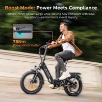 Bicicleta Eléctrica Plegable Todoterreno Engwe L20 3.0 Boost de 20 Pulgadas para Viajes Largos, Neumáticos Gruesos, Suspensión Completa, Bicicleta Eléctrica Urbana