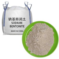 Argile bentonite pour l'étanchéité des étangs et des lacs, bentonite à faible humidité pour les matériaux de moules de fonderie métallique
