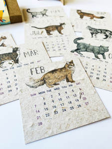 <span class=keywords><strong>Calendrier</strong></span> Plantable en papier, vente en gros, kit de plantes d'herbes <span class=keywords><strong>2023</strong></span> - Product Image 5