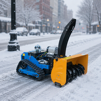Souffleuse à neige électrique compacte pour un déneigement sans effort des jardins de villas et des places commerciales, avec moteur et roulement à billes