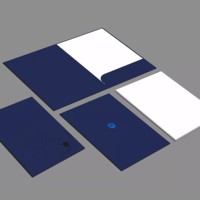 Carpeta de archivos de bolsillo para documentos A4 de alta calidad Carpeta de presentación de archivos de cartón de papel de 300gsm con dos bolsillos