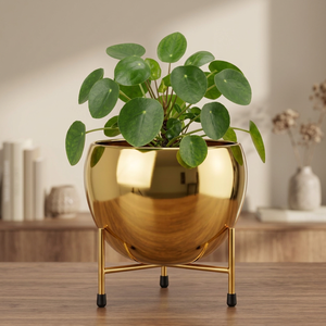 Macetas Redondas de Metal Dorado con Soporte, Modernas y Lujosas, para Plantas Verdes de Interior - Product Image 6