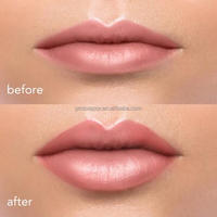 Gloss à lèvres repulpant et volumisant Private Label 10-20ml avec applicateur métallique argent/or pour un effet repulpant extrême