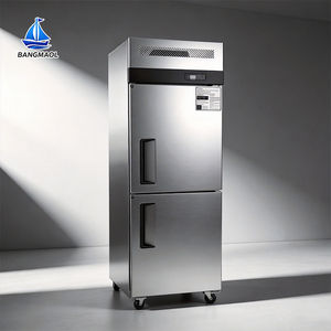Congélateur commercial vertical à double porte, équipement de cuisine pour la restauration, les hôtels et les restaurants, avec des performances de refroidissement stables - Product Image 1