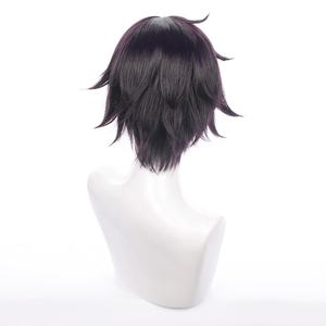 Vente en gros perruque virtuelle YouTuber <span class=keywords><strong>Shoto</strong></span> <span class=keywords><strong>Cosplay</strong></span> 30cm court violet foncé Anime Peluca perruque de cheveux synthétique résistant à la chaleur - Product Image 4