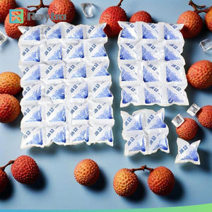 RAYBO İzoleli Soğuk Jel Soğutucu Çanta Su Enjeksiyonlu Dondurucu Kuru Buz Paketi Yiyeceklerin Taze Taşıma ve Teslimatı için - Product Image 3