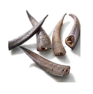 Cuerno de cabra pulido natural - Product Image 4