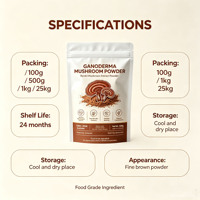 Poudre d'extrait de champignon Reishi en gros, Extrait de champignon Reishi personnalisé, Poudre de champignon Reishi biologique