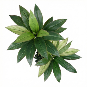 Planta Artificial de Dracaena de Dos Tallos, Planta Decorativa en Maceta de Tacto Real para Decoración de Interiores, Hogar, Oficina, Hotel - Product Image 2