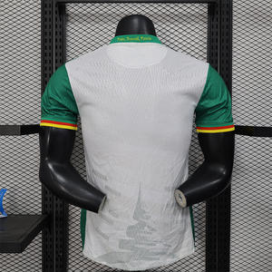 Kamerun Trikot Spielerversion Heim Auswärts Afrikanische Nationalmannschaft Grenzüberschreitende Vertriebsversion Fußballtrikot Kurzarm Polyester - Product Image 3