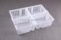 Boîtes de transport pour poussins d'un jour, caisses en plastique pour poussins, capacité de 80 pièces, longue durée de vie, HuiJu HJ-DN021