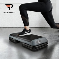 Plataforma de Ejercicio Ajustable Antideslizante para Gimnasio en Casa, Stepper Aeróbico y Tabla de Equilibrio de TPE, Precio de Fábrica Pilot Sports OEM