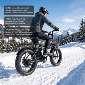 Bicicleta Eléctrica Plegable de Montaña de Alta Potencia 1000W, Neumático Grueso de 20 Pulgadas, 40V 20Ah, Cuadro de Acero de Alto Carbono, Bicicleta Eléctrica Plegable - Product Image 1