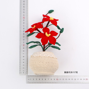 Bouquet de fleurs en fil tissé Cheifferite fait main, fini et prêt à offrir, cadeau de vacances pour les enseignants et les camarades de classe - Product Image 6