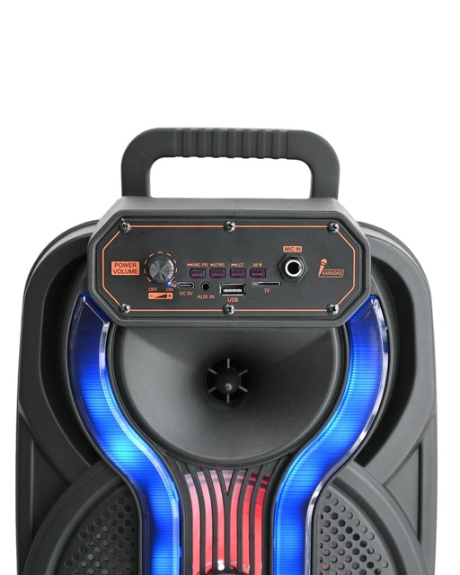 8 Inch Portable Bluetooth Speaker SP - 250810 - 1 with RGB Lights, Wired Microphone