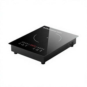 Cuisinière à induction portable à brûleur unique, plaque de <span class=keywords><strong>cuisson</strong></span> électrique intégrée, alimentation <span class=keywords><strong>solaire</strong></span>/par batterie 220V pour usage domestique, friture et fondue - Product Image 2