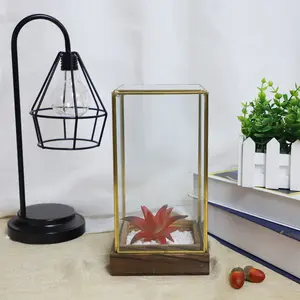 Indoor home tabletop large black geometric cuboid glass jar terrarium box container display pot with wooden base