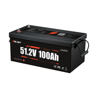 Batterie lithium-ion Enlzh 51,2 V 100 Ah CAN Bus RS485 pour serveur en rack, onduleur, surveillance, salles informatiques, calcul en périphérie