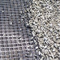 Géogrille biaxiale en plastique PP Nuolian, résistance à la traction de 15 à 60 KN, construction routière, mur de soutènement, pavage, garantie de 3 ans