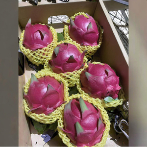Fruits de dragon frais et sains au meilleur <span class=keywords><strong>prix</strong></span>, fruits de <span class=keywords><strong>pitaya</strong></span> frais en provenance de Chine - Product Image 1