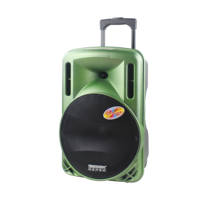 Enceinte DJ professionnelle active sur chariot Temeisheng 12 pouces A12-1 avec éclairage de fête, alimentée par batterie 12V 6600mAh