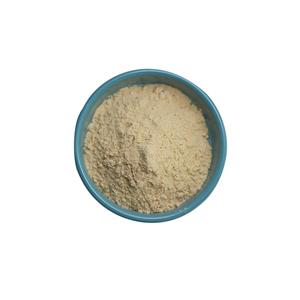 Nhà máy Ciyuan cung cấp giá sỉ, bán chạy chiết xuất bột nhân sâm Panax <span class=keywords><strong>Notoginseng</strong></span> - Product Image 3