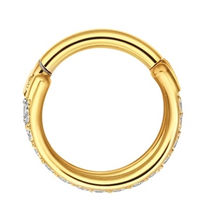 Piercing Stories ASTM F136 Titanium Helix <b>Hoop</b> Double Paved CZs <b>Nose</b> Ring Earrings Body Piercing Jewelry - Product Image 4