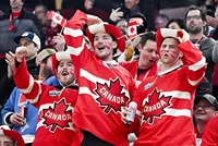 2026 Football CUP Celebrate Fans Afro Perruque dans la couleur de la couleur du drapeau avec une excellente quantité pour le Canada