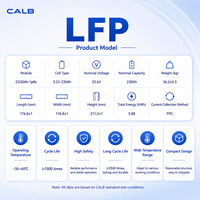 Module CALB 230AH-1P8S 25.6V 230Ah LiFePO4 5.88kWh avec BMS FPC prêt pour système de batterie de véhicule électrique