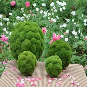 Pierres artificielles en céramique légère de tailles variées, imitation mousse, pour la décoration de jardins et de pots de fleurs à la maison - Product Image 2