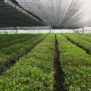 Đen densified dày HDPE/PE nhựa xách tay dù để che nắng nông nghiệp Shading <span class=keywords><strong>Net</strong></span> cho sân ban công bóng râm buồm lưới - Product Image 4