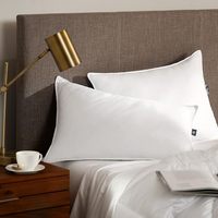 Oreillers en microfibre alternative au duvet, taille Queen, lot de 2, oreillers de luxe pour hôtel avec housse en coton pour les dormeurs