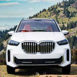 Système de direction gauche-droite personnalisable, nouvelle conception, véhicule familial pour adultes Falcon <span class=keywords><strong>Taxi</strong></span> à faible vitesse, 3500W, fabricant direct - Product Image 3