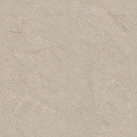 Vente Flash : Carrelage en Porcelaine Émaillée 800x800mm, Entièrement Poli, Qualité Supérieure, Idéal pour les Murs de Hall, Décoration Intérieure Parfaite, Carrelage pour Salle de Bain et Couloir