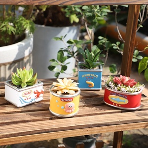 Maceta Cuadrada de Resina con Diseño de Animal Marino Adorable de ROOGO, Mini Maceta de Estilo Retro con Orificio de Drenaje, Decoración Costera para el <span class=keywords><strong>Hogar</strong></span> - Product Image 5