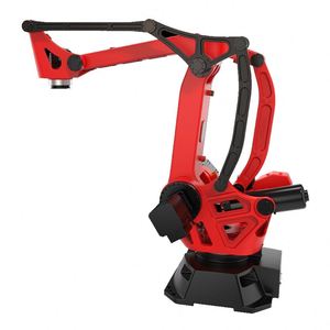 BORUNTE Bras robotisé industriel articulé 4 axes, charge utile élevée de 300 kg, portée de 2950 mm, palettisation, manutention, capacité de 500 unités/heure, IP65 - Product Image 6