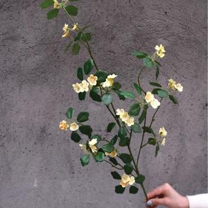 Arreglo Floral de Seda Amarilla al por Mayor, <span class=keywords><strong>Planta</strong></span> Artificial de Tallo Único a Juego para Decoración de Bodas, Hogar y Eventos - Product Image 5