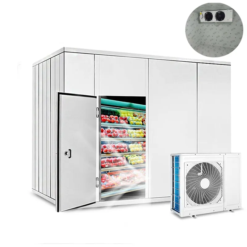 Kunden spezifischer industrieller negativer Kühlraum und Installation preis Gefrier schrank Lebensmittel lager behälter 20Ft Kühlraum