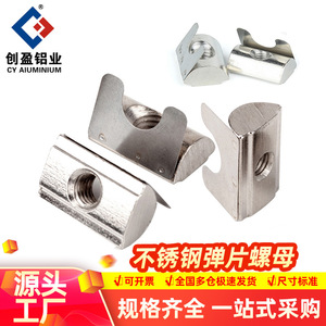 Chuangying Spring Nut M10 Polished Flat Head Metric 18mm For Aluminum Profile - Product Image 5