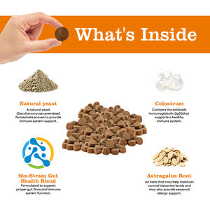 Fabricage Groothandel 15 <span class=keywords><strong>In</strong></span> 1 Multivitamine Voor Huisdieren Hond Vitamine Gezondheidssupplement Zacht Kauwt Voedingssupplement Voor Huisdieren - Product Image 3