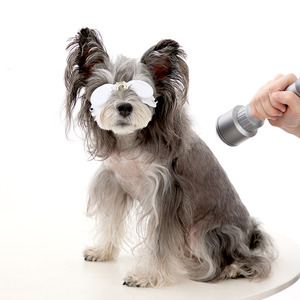 Rheinlaser 20 Wát 30 Wát 980nm Laser trị liệu máy vật lý trị liệu thiết bị y tế cho thú y chữa bệnh - Product Image 4